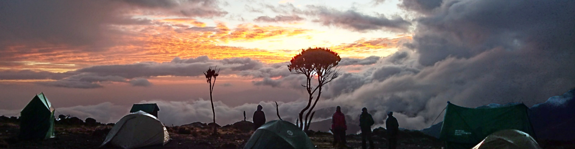 Wyprawa na Kilimandżaro - TANZANIA - 7 dni trekkingu + 5 dni SAFARI - 04.02 - 18.02.2024